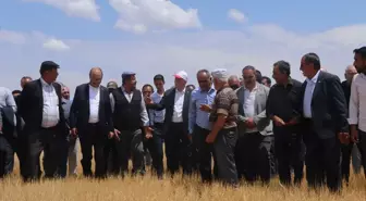 TZOB Başkanı Bayraktar: Türkiye Kuraklık Tehdidi ile Karşı Karşıya