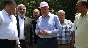 TZOB Başkanı Bayraktar: Tarımda Kuraklık ve Zirai Don Sorunu