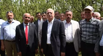 Dondan Etkilenen Tarım Arazileri İncelendi