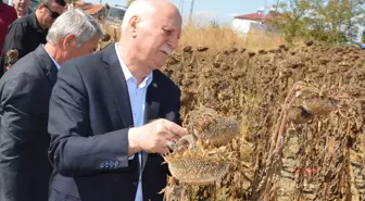 TZOB Genel Başkanı Bayraktar, Samsun'da Ziyaretlerde Bulundu