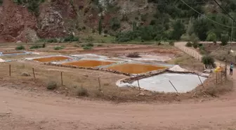 Sivas'ta 'Altın Tuz' Hasadı Devam Ediyor