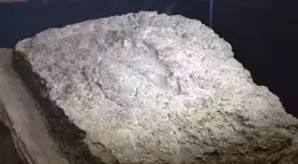 Urartulara ait kadın ayak izi Van Müzesi'nde ilk kez sergileniyor