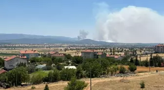 Uşak'ta Meşelik Alanda Yangın, Müdahale Devam Ediyor