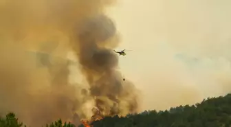 Uşak'ta Orman Yangınına Havadan ve Karadan Müdahale