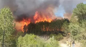 Uşak'ta Orman Yangınına Müdahale Devam Ediyor