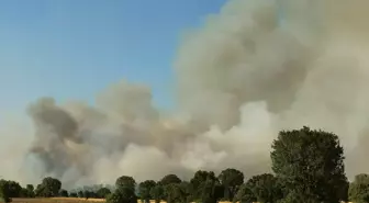 Uşak'ta Tarım Arazisinde Başlayan Yangın Ormanlık Alana Sıçradı