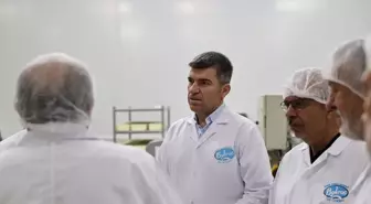 Amasya'da Süt Ürünleri Fabrikası Ziyareti