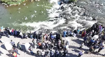 Erciş'te Uluslararası İnci Kefali Göçü Festivali Başladı
