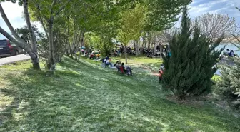 Van'da Polen Yoğunluğu Alerjik Şikayetleri Artırdı