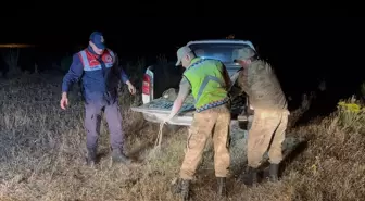 Van'da Kaçak Avlanan 1.5 Ton İncik Kefali Suya Bırakıldı