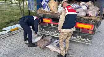 Van'da Kaçak Avlanan 19 Ton İnci Kefali Ele Geçirildi