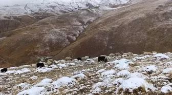 Başka'da Kar Yağışı