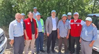 Samsun'da Kanola Hasadı Başladı