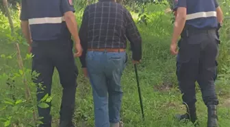 Yalova'da Kayıp Alzheimer Hastası Ormanlık Alanda Bulundu