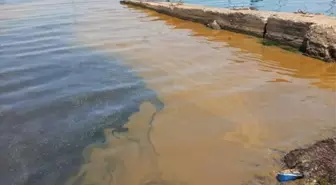 Yalova'da Denize Atık Yağ Döküldü, İnceleme Başlatıldı