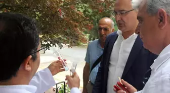 Yalova'da Kahverengi Kokarca ile Mücadelede 10 Bin Samuray Arısı Doğaya Salındı