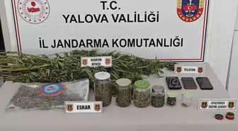 Yalova'da Uyuşturucu Operasyonu: 3 Gözaltı