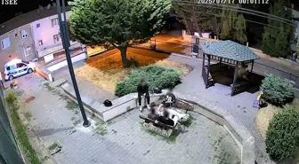 Yalova'da Çekirdek Kabukları Yere Atanlar Temizletildi