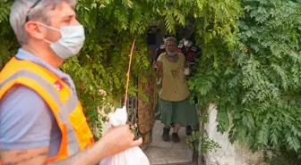 Orman Yangınında Mahsur Kalan Hayvanlar Kurtarıldı