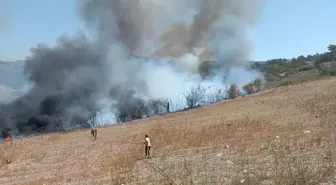 Hatay'da Makilik Alanlarda Yangın