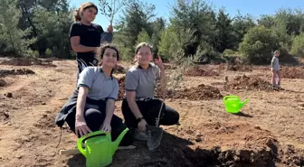 Muğla'da 300 Zeytin Fidanı Toprakla Buluştu