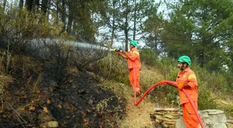 Denizli'de Gönüllü Turuncu Timler Yangınla Mücadelede Öncü Rol Üstleniyor