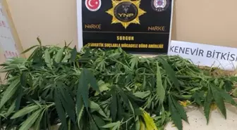 Yozgat'ta Uyuşturucu Operasyonları: 8 Gözaltı