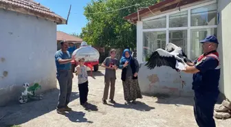 Yozgat'ta Tufaner Ailesi Yaralı Leyleği Kurtardı