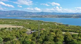 Leylek Narin, Elazığ'ın Maskotu Oldu