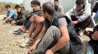 Yunan Güçleri, 18 Kaçak Göçmeni Türkiye'ye İtti