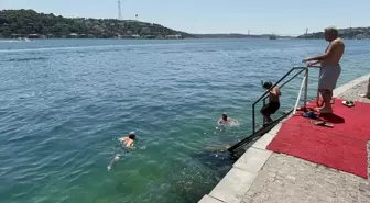 Yüzmeyi yeni öğrenenler yardıma ihtiyacı olabileceğini söylemekten çekinmemeli