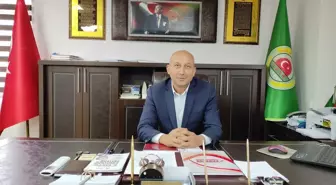 Kahverengi Kokarca ile Mücadelede Ruhsatlı İlaçlar Önemli