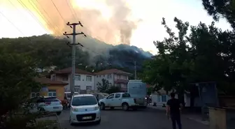 Zonguldak'ta Orman Yangını Kontrol Altına Alındı