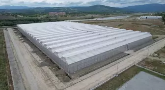 Çaycuma'da Sera Organize Tarım Bölgesi Kuruluyor
