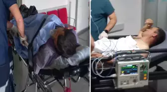 15 yaşındaki çocuk çobanı vurdu; tüfeği almaya çalışan kendi babası da yaralandı