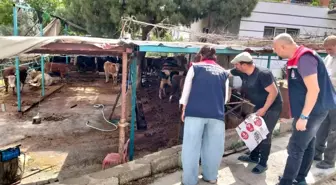 Aydın'da Kurban Bayramı Denetimleri Başladı
