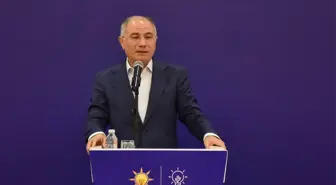 Efkan Ala: Silah bırakmanın bu yaz gerçekleşmesini öngörüyoruz