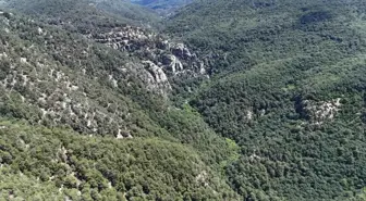 Çanakkale'de Doğa Yürüyüşünde Kaybolan Müdür Yardımcısının Cansız Bedeni Bulundu