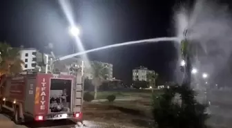 Kızıltepe'de Palmiye Ağacı Ateşe Verildi