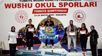 Wushu Türkiye Şampiyonası'nda Niğde'den Başarı