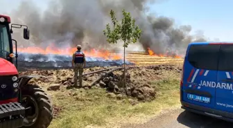 Şanlıurfa'da Anız Yakma Suçuna Cezai İşlem Uygulanacak
