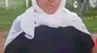 Suruç'ta Trafik Kazası: 1 Ölü, 3 Yaralı