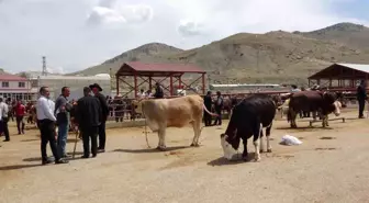 Van'da Kurban Pazarında Hareketli Günler