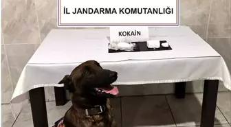 Muğla'da Yolcu Otobüsünde 290 Gram Kokain Ele Geçirildi