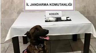 Yatağan'da Uyuşturucu Operasyonu: 290 Gram Kokain Ele Geçirildi