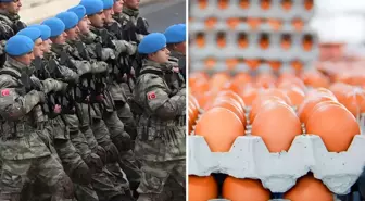 Yumurta ihracatına TSK için yeni düzenleme getirildi