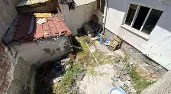 Eskişehir'de Çöp Evdeki Kedi Ölüleri Mahallelileri Rahatsız Ediyor