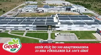 Gedik Piliç, 2024 İSO 500 Listesinde 100. Sırada