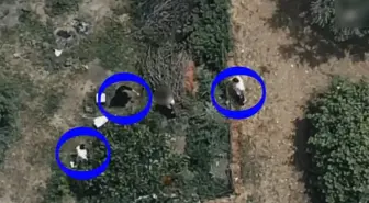 Hapis Cezaevi Kaçışına Dronla Müdahale
