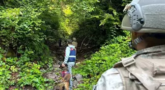 Düzce'de Jandarma Yaylalarda Kaçakçılığa Karşı Denetim Başlattı